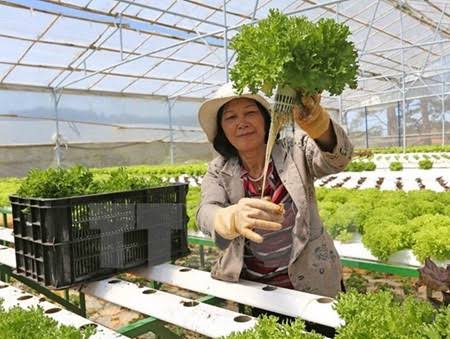 Jepang Bantu Vietnam USD1 Miliar Untuk Pembangunan Pertanian