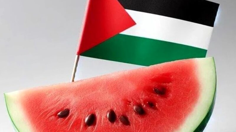 Antara Semangka & Palestina