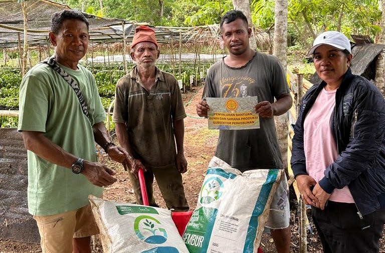 Kopi Premium Letfuan Asal Maluku, Produksinya Digenjot Kementan