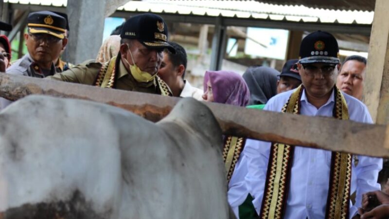 Wamentan Dorong Lampung Selatan Jadi Percontohan Koperasi Dan Produksi Ternak