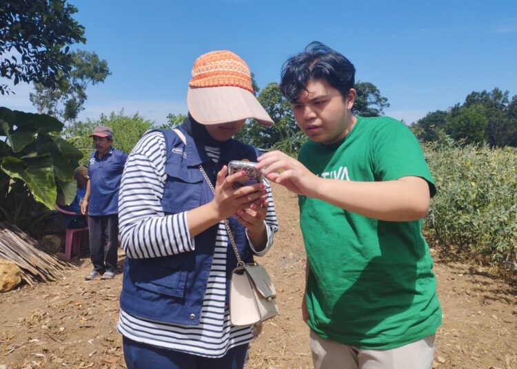 Kementan Gandeng KOLTIVA Kembangkan Lahan Kering Hortikultura Di 7 Provinsi