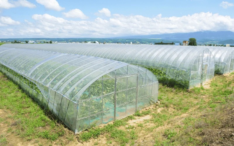 Kazakhstan Segera Bangun Kompleks Greenhouse Baru