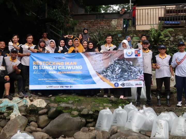 15.000 Ekor Ikan Dilepasliarkan Ke Ciliwung