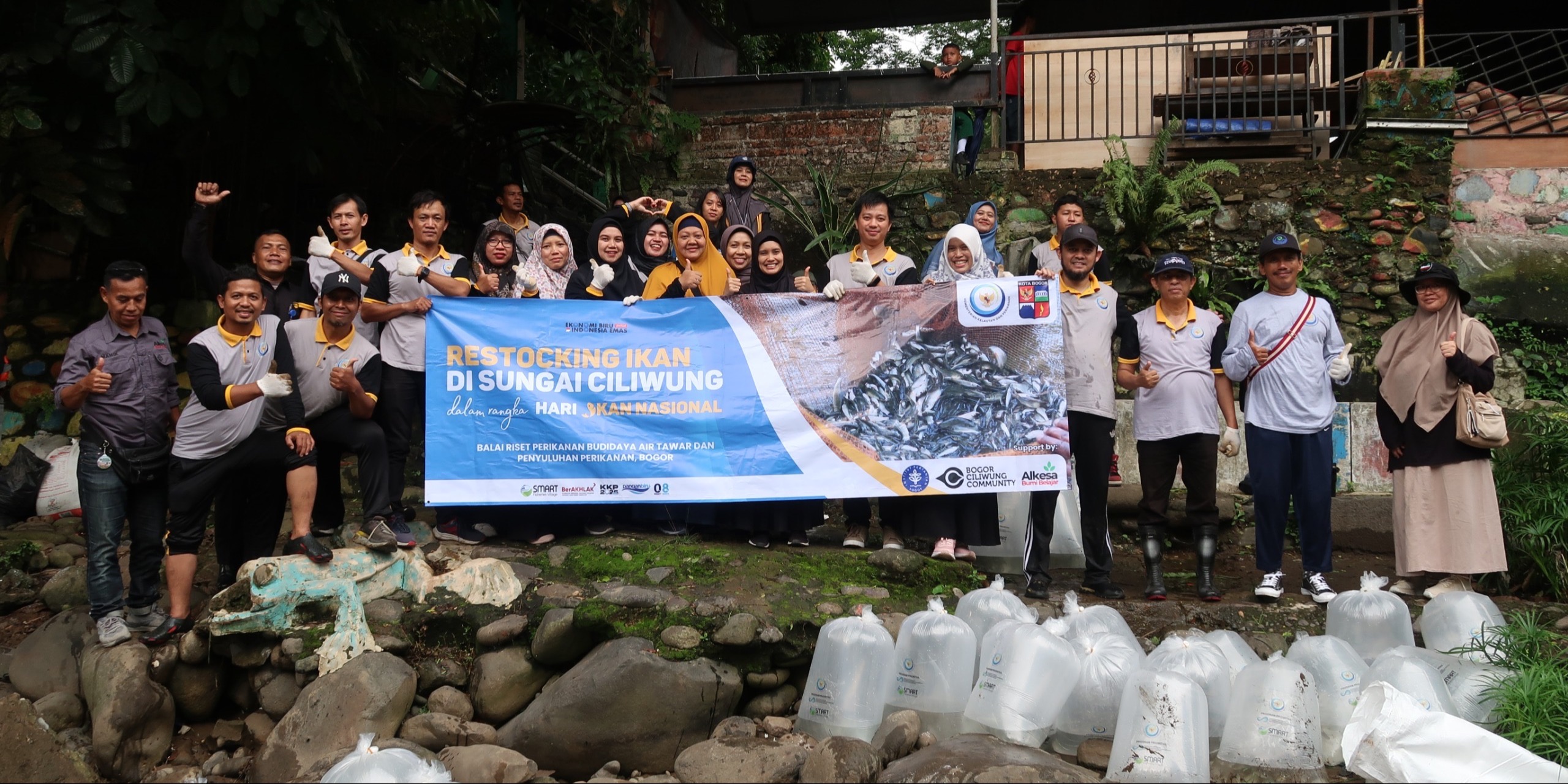 15.000 Ekor Ikan Dilepasliarkan Ke Ciliwung
