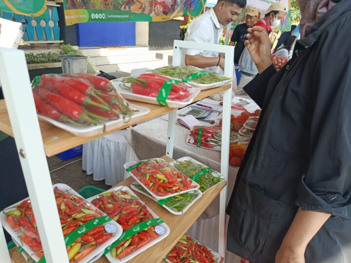 Pasokan Cabai Masih Aman Pasca-Lebaran