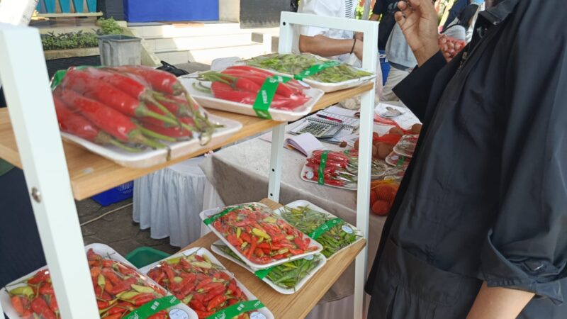 Pasokan Cabai Masih Aman Pasca-Lebaran