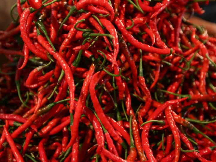 Kementan Gandeng Champion Hadirkan Cabai dan Brambang Murah Jelang Lebaran