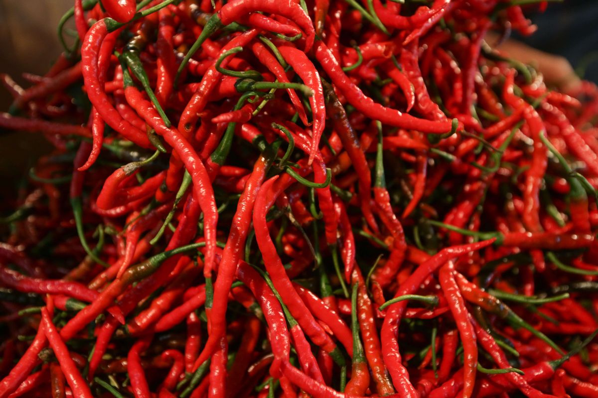 Kementan Gandeng Champion Hadirkan Cabai dan Brambang Murah Jelang Lebaran