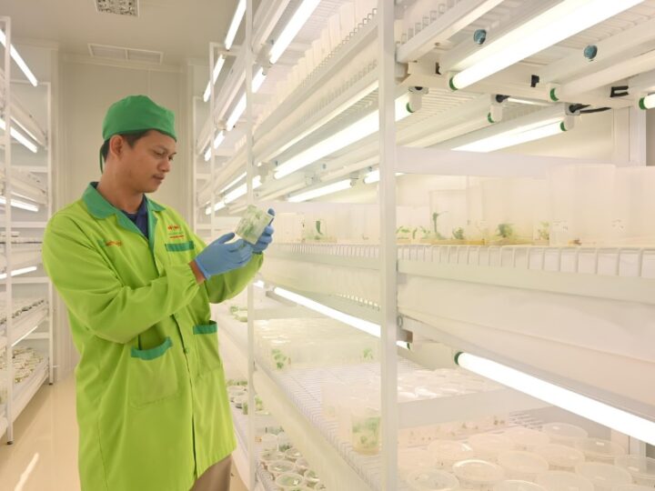 Permentan 04/2026 Resmi Berlaku, Atur Produksi Hingga Pengawasan Benih Hortikultura