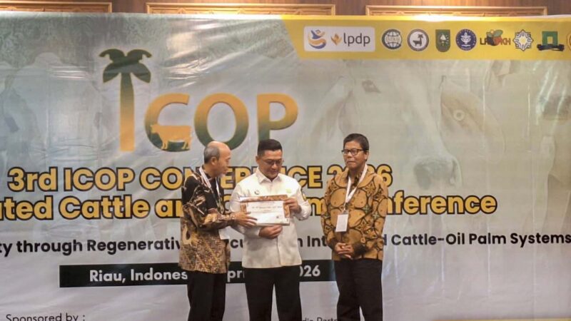 Integrasi Sawit-Sapi Kunci Tekan Defisit Daging Nasional