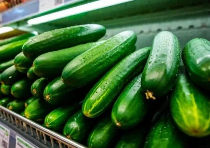 Maroko Pasok 71,7% Kebutuhan Mentimun Spanyol