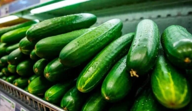 Maroko Pasok 71,7% Kebutuhan Mentimun Spanyol