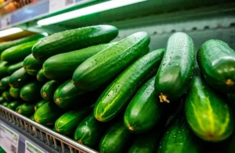 Maroko Pasok 71,7% Kebutuhan Mentimun Spanyol