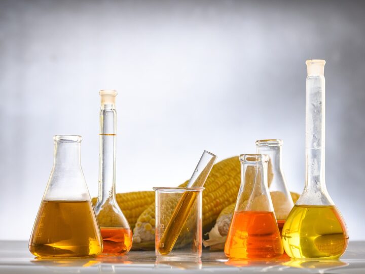 Pengembangan Bioenergi Dikebut Pemerintah