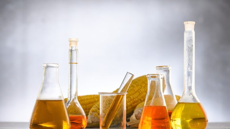 Pengembangan Bioenergi Dikebut Pemerintah