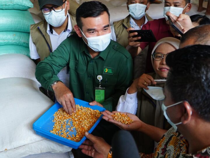 Pemerintah Salurkan SPHP Jagung di Jateng, Tekan Beban Produksi Peternak Unggas