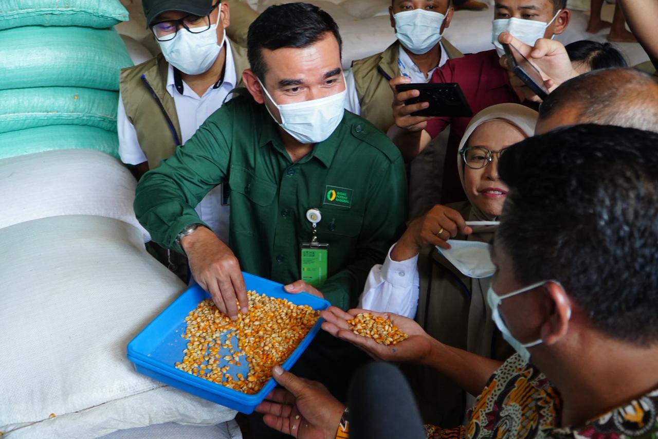 Pemerintah Salurkan SPHP Jagung di Jateng, Tekan Beban Produksi Peternak Unggas