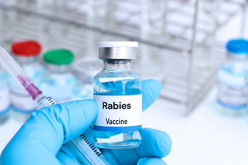 Kementan Siapkan 205 Ribu Vaksin Rabies